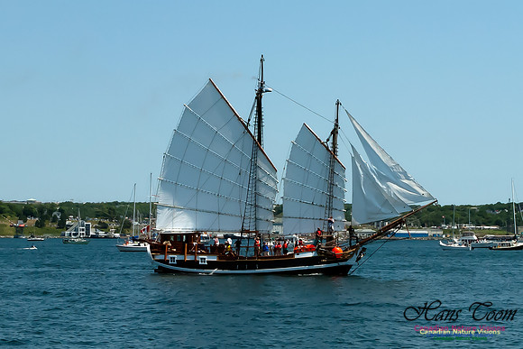 TallShips 2012