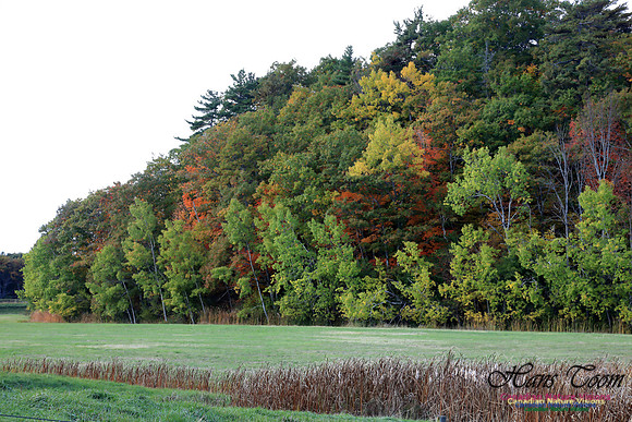 FallColours2016-1003