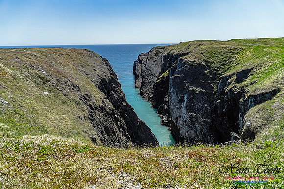 Cape Race 146