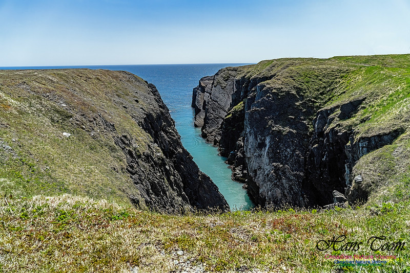 Cape Race 146