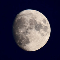 Brier Island Moon