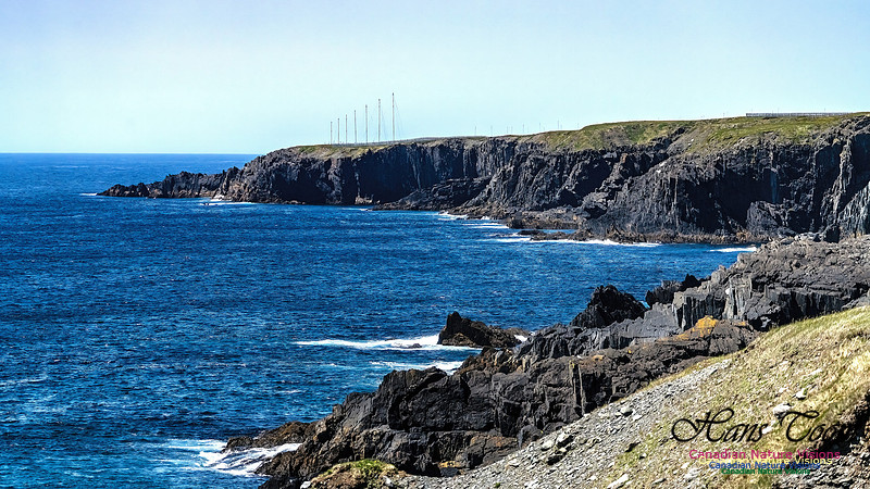 Cape Race 144