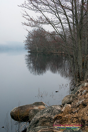 Misty Morning LaHave River