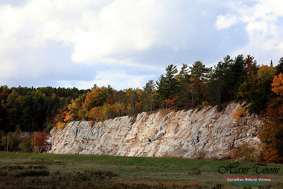 FallColours2016-1002