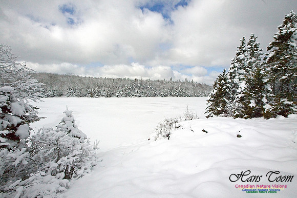 Long Pond Frozen