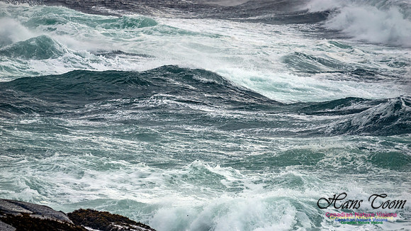 November Gale 3 120
