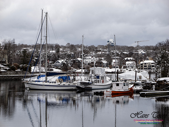 April Snow In Nova Scotia 105