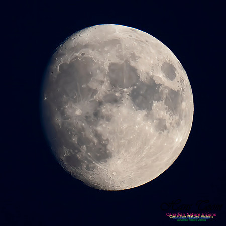 Brier Island Moon 105