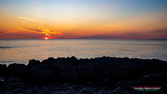 Brier Island Sunset 101