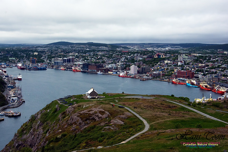 St. John's, Newfoundland and Labrador