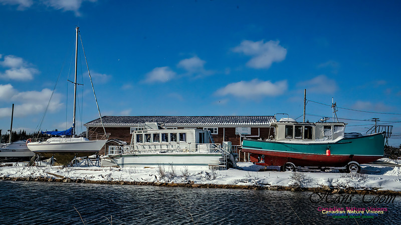 Nova Scotia Winter 307