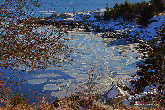 Herring Cove