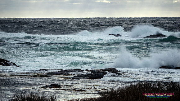 November Gale 3 122