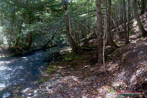 Butchers Creek