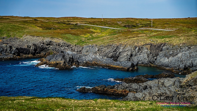 Cape Race 126