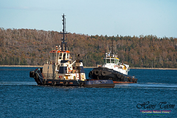 Push and Pull Tugs