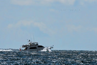 Cruiser off Duncan Reef