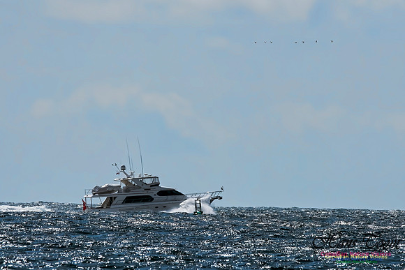 Cruiser off Duncan Reef