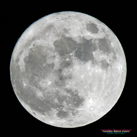 SupermoonDecember13,2016-10