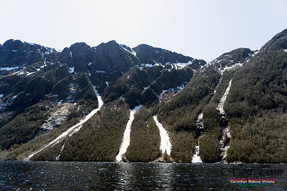 Western Brook Pond 248