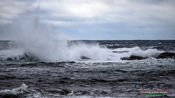 November Gale 3 131
