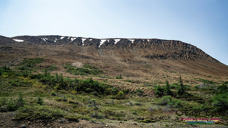 Table Mountains 103