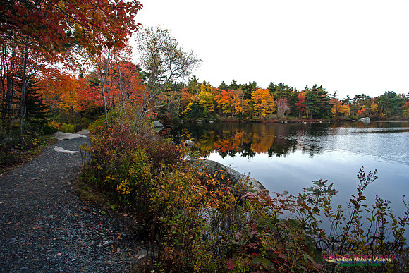 Sir Sanford Fleming Park