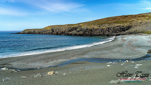 Cape Race 138