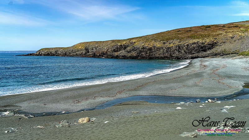 Cape Race 138