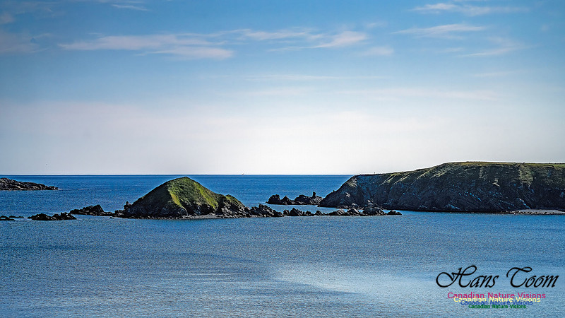 Cape Race 114