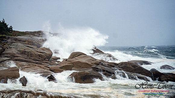 Nova Scotia Gale 2024-09-07 102