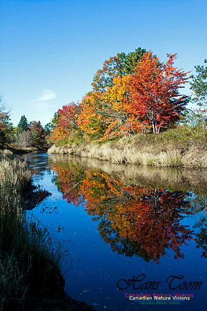 FallColours2012-78