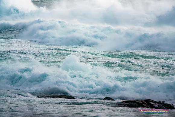 February 17 Gale 137