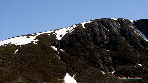 Western Brook Pond 113