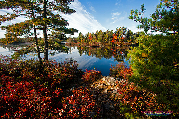 FallColours2012-31