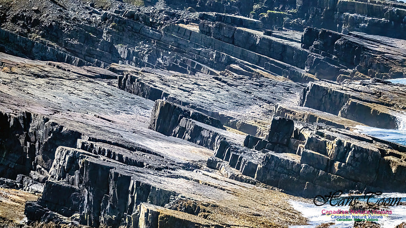 Cape Race 105