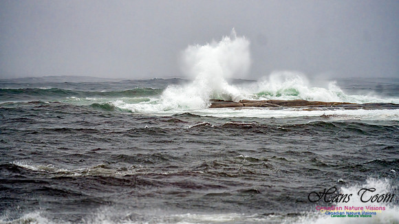 Nova Scotia Gale 2024-09-07 136