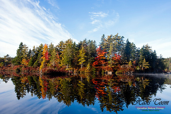 FallColours2012-29