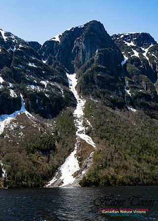 Western Brook Pond 221