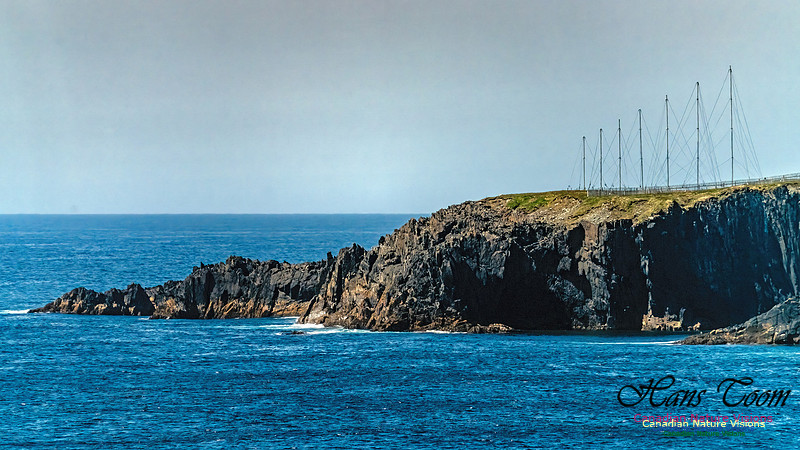 Cape Race 145