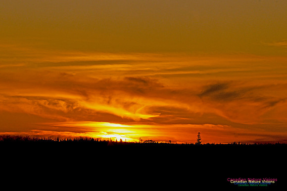 PortugueseCoveSunset6