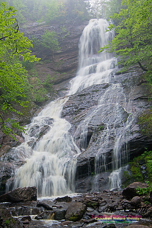 Cape Breton Highlands