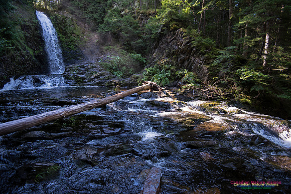 Butchers Falls