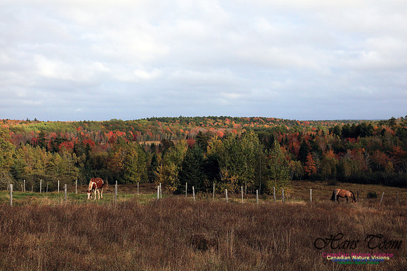 Shubenacadie Valley