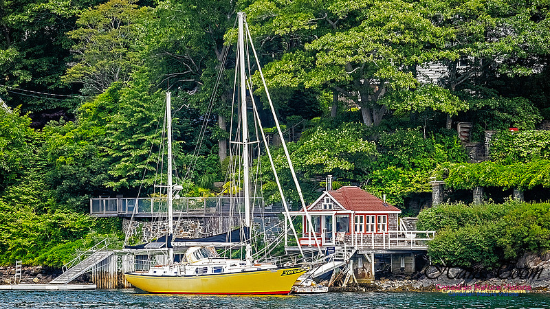 Moored Sailboat 101
