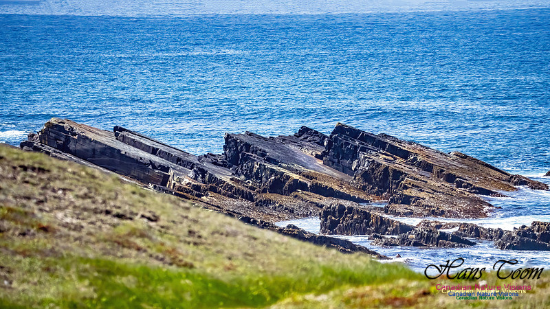 Cape Race 111