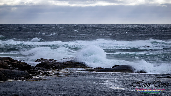 November Gale 3 116