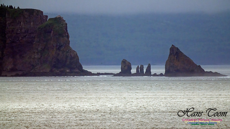 Cape Split 101