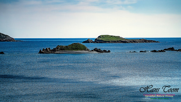 Cape Race 115