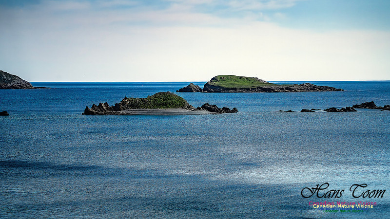 Cape Race 115